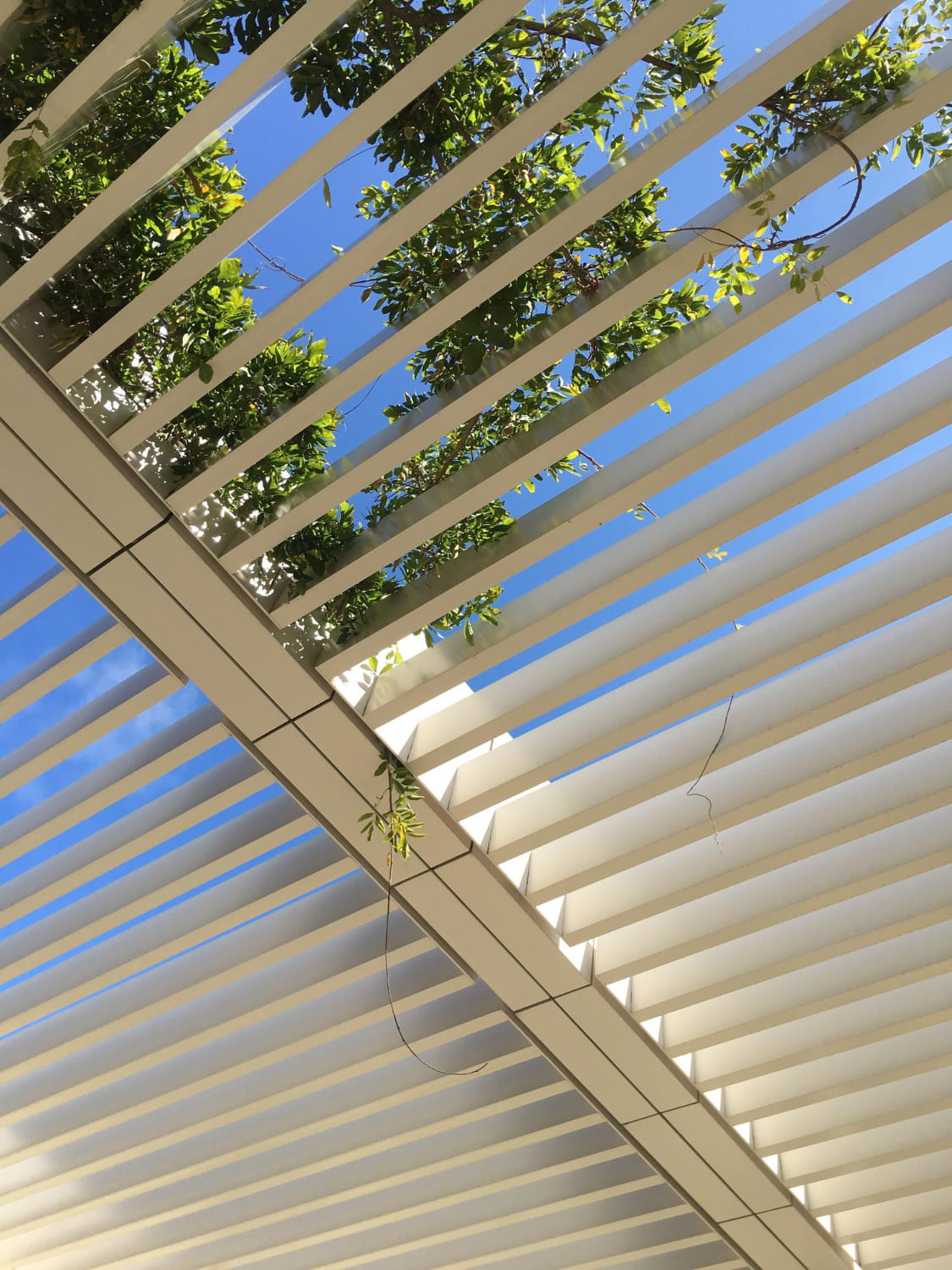 Pergola à Pontivy